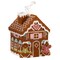 Herrschners Gingerbread Village Tissue Box Plastic Canvas Kit